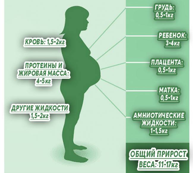 Питание во время беременности: как питаться правильно на ранних и поздних сроках беременности