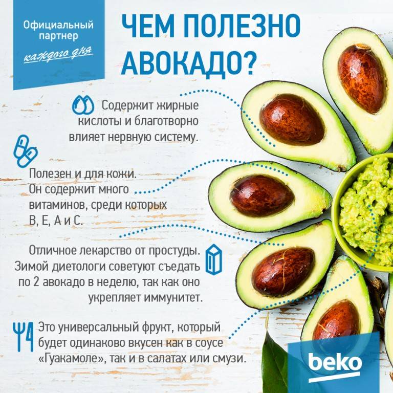 Авокадо: польза и вред для организма, как его едят