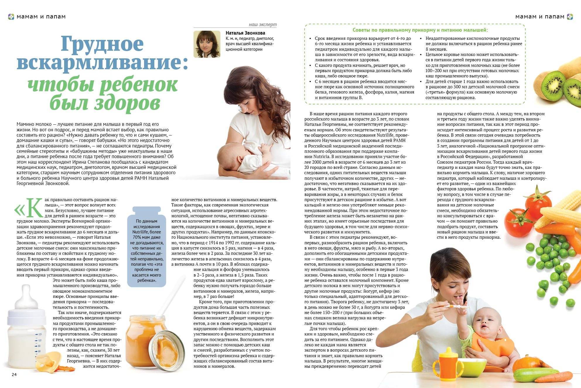 Питание кормящей мамы – мнение доктора Комаровского