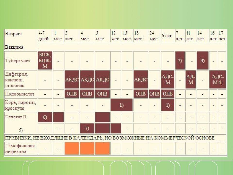 Как переносится ревакцинация прививки АКДС, календарь когда и сколько раз делают