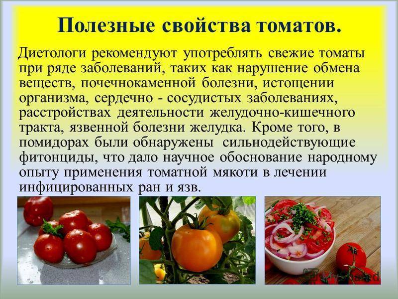 Можно ли помидоры кормящим