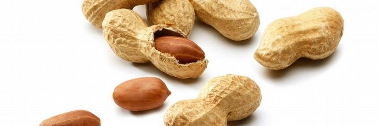 О полезных (и не очень) свойствах арахиса для будущих мам