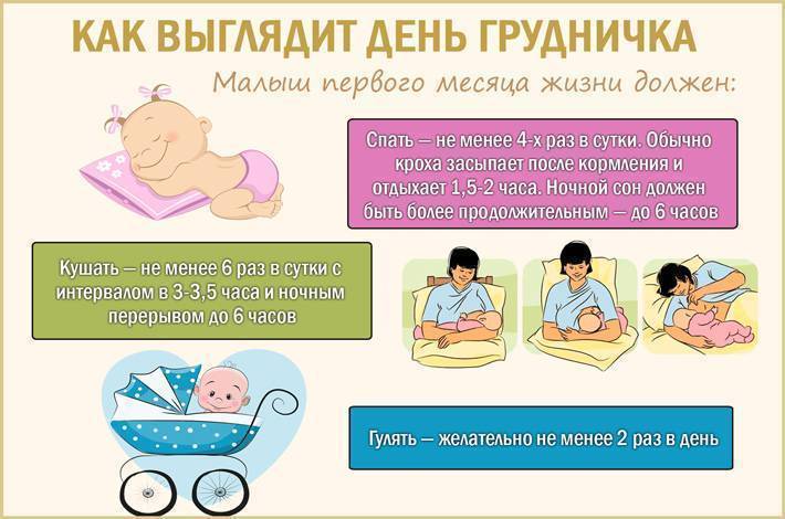 Волнующий вопрос: нужно ли будить новорождённого для кормления?