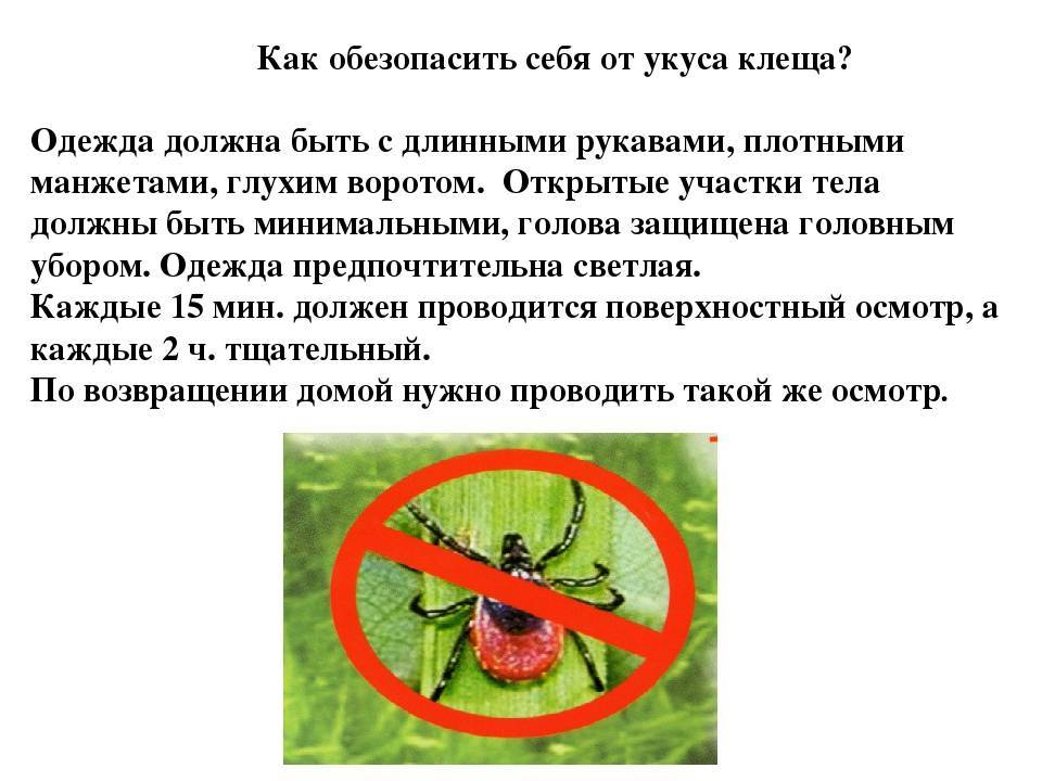 Памятка: осторожно, клещи!