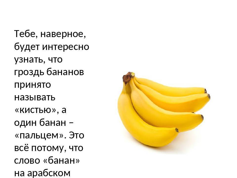 Можно ли бананы при грудном вскармливании в первый месяц, можно ли кормящей маме бананы, бананы при гв