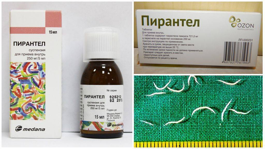 Глисты при грудном вскармливании: лечение остриц, аскарид и других гельминтов при гв с помощью медикаментов и народных средств