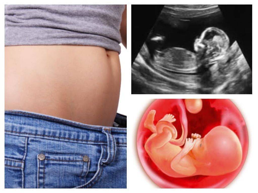 13 неделя беременности :: polismed.com