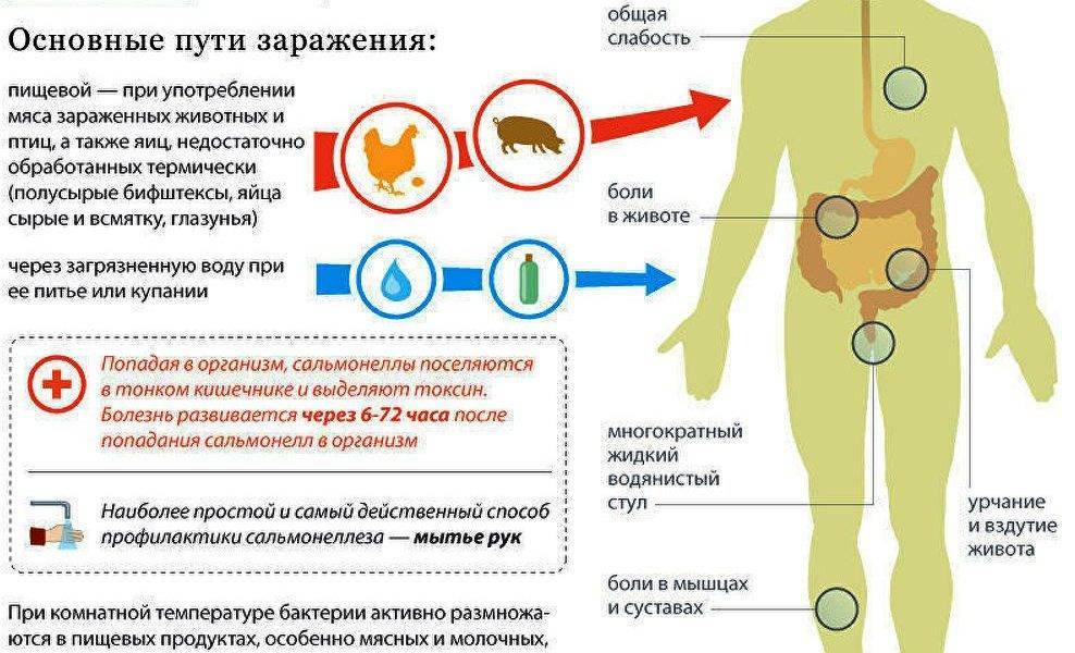 Отравление сальмонеллой симптомы. Сальмонеллез схема заражения. Симптомы заражения сальмонеллезом. Клинические симптомы сальмонеллеза.