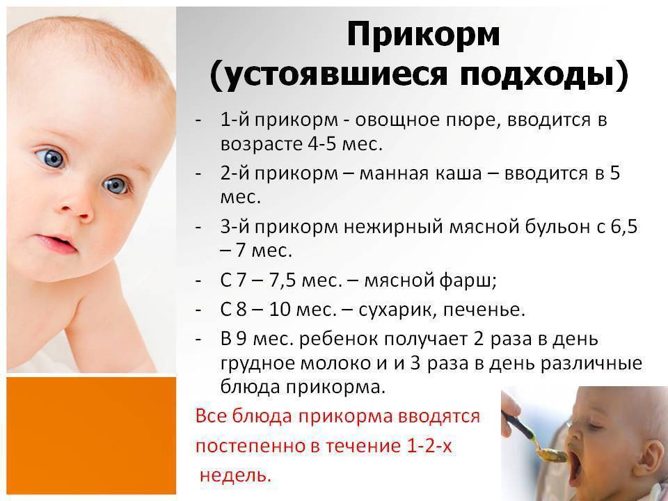 Давать ли грудным детям манную кашу или не стоит, несколько советов