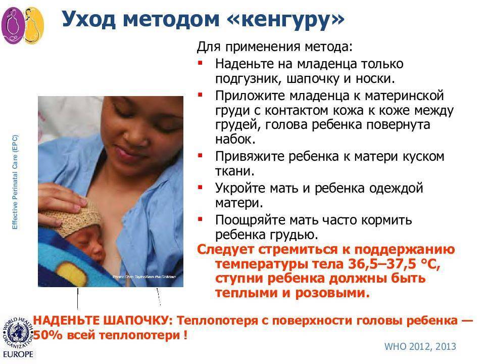 Метод "кенгуру" для недоношенных детей: выхаживание младенцев данным способом, необходимые условия, эффективность, противопоказания