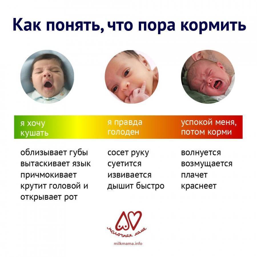 Чем отличается кормление по режиму и кормление по требованию?   | материнство - беременность, роды, питание, воспитание
