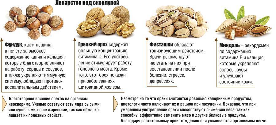 Грецкие орехи при беременности и грудном вскармливании