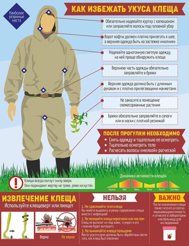 Как убить клеща: правильные и безопасные действия