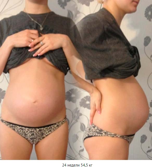 24 неделя беременности: что происходит с малышом, развите плода рост и вес