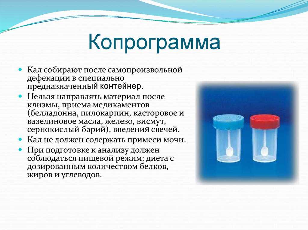 Как сдавать копрограмму взрослому правильно. Емкость для обследования кала на копрограмму. Общий анализ кала контейнер. Сбор кала для копрограммы. Копрограмма как собрать.