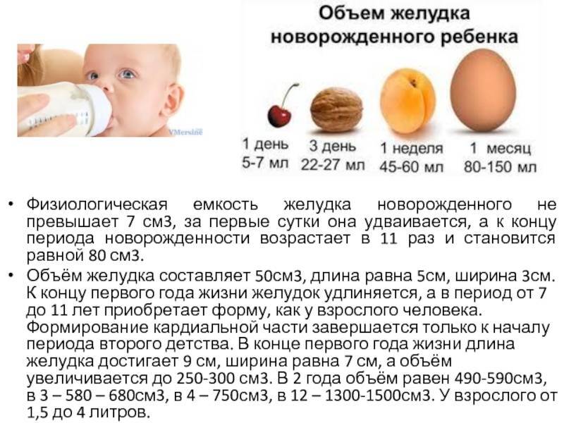 Как часто должен есть и сколько должен съедать молока малыш на грудном вскармливании