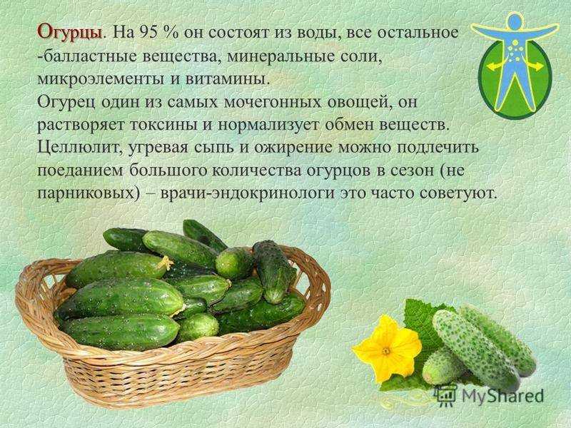 Огурцы при грудном вскармливании