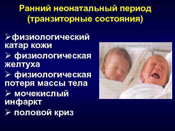 Уз «могилевская городская больница скорой медицинской помощи»
