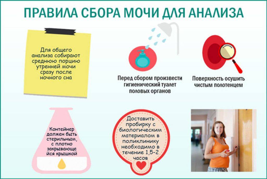 Цвет мочи при беременности, какого цвета моча у беременных / mama66.ru