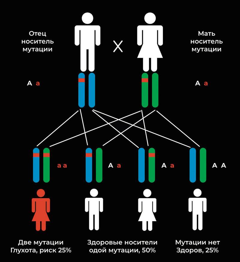 Папа гена мама. Схема наследования шизофрении. Схема передачи шизофрении по наследству. Мутации схема. Передача генов от родителей ребенку.