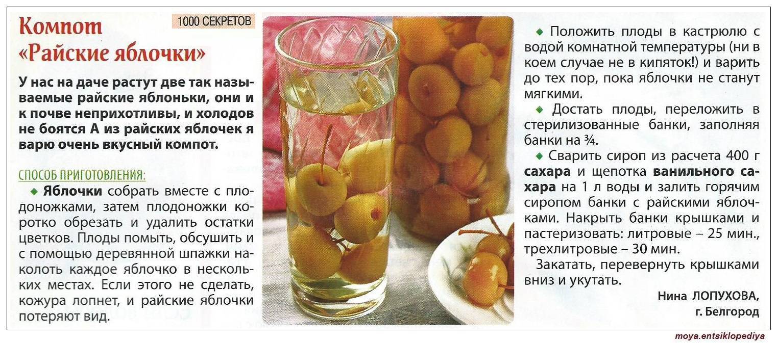 Яблоко для грудничка: когда можно давать, как приготовить яблочное пюре, нюансы введения в прикорм · всё о беременности, родах, развитии ребенка, а также воспитании и уходе за ним на babyzzz.ru