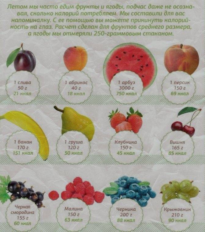 Какие фрукты можно и нельзя употреблять во время беременности? • центр гинекологии в санкт-петербурге