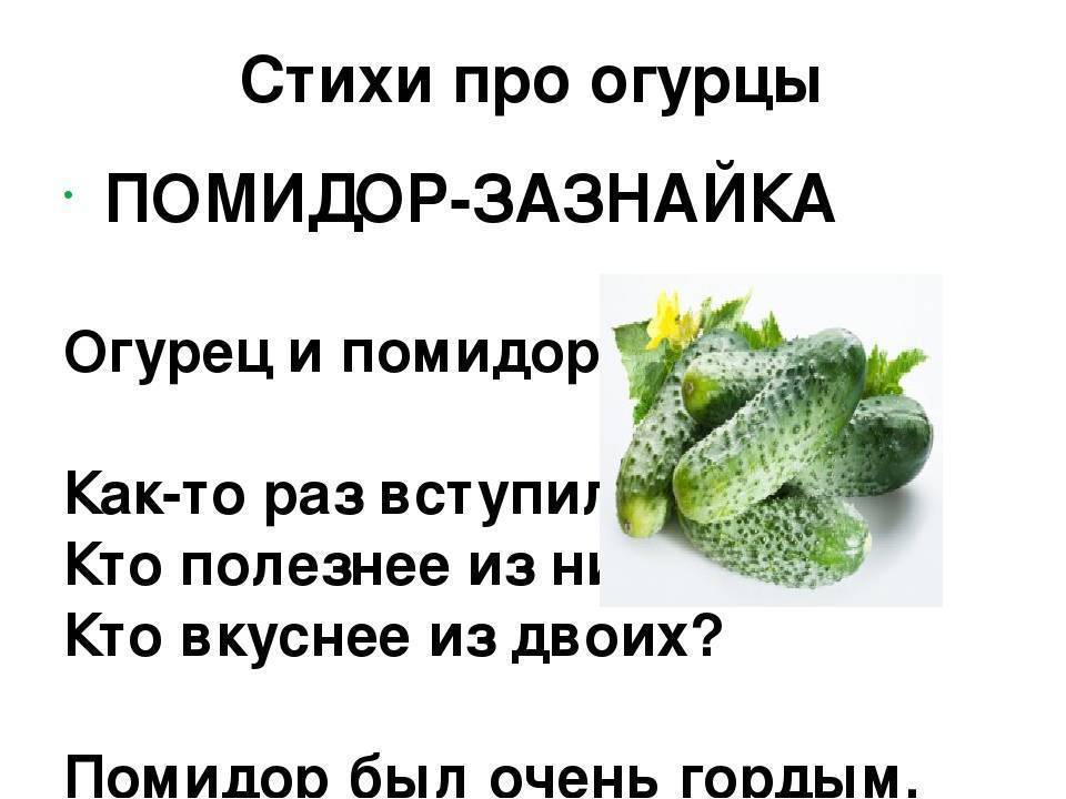 Огурцы при грудном вскармливании новорожденного. Стих про огурец. Шутки про огурцы. Смешной огурец. Огурец юмор.