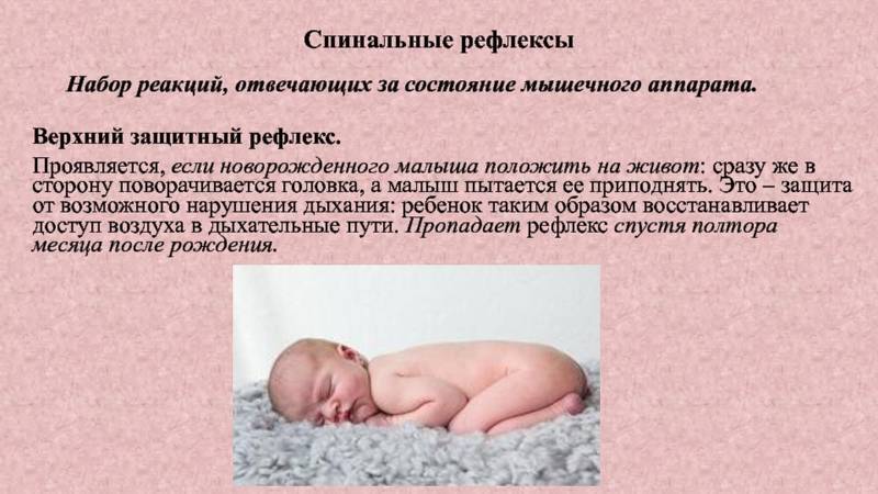 Укладываем новорожденного на живот. Рефлексы новорожденного на животе. Защитный рефлекс новорожденного. Выкладывать на животик новорожденного.