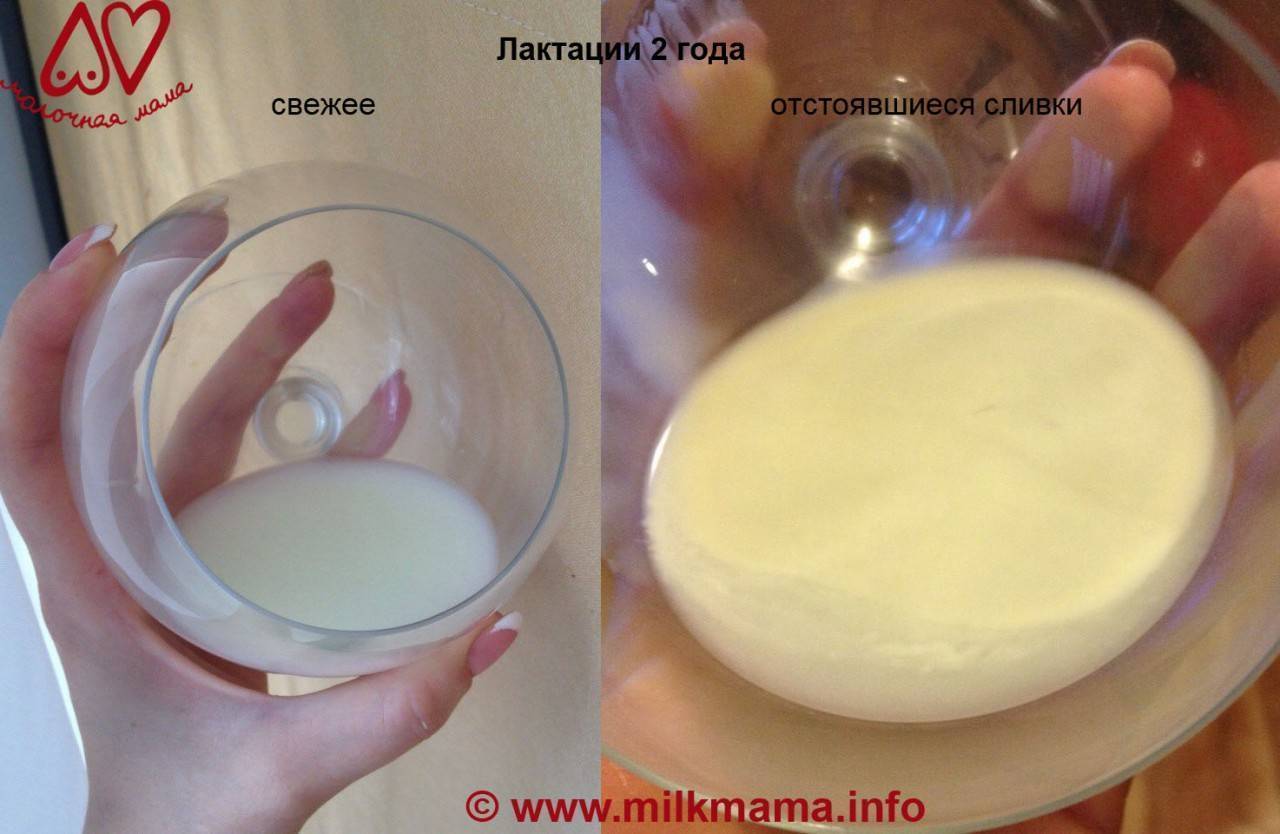 Переднее и заднее молоко. как меняется молоко во время кормления