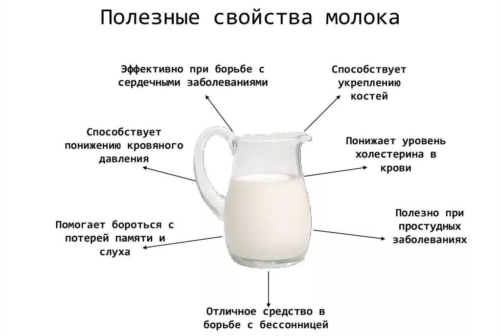 Как образуется, выглядит грудное молоко, его состав и полезные свойства