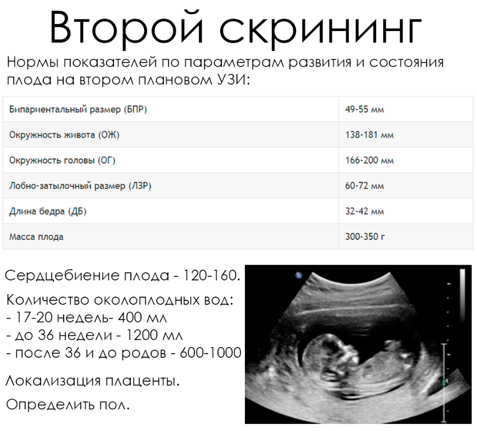 Анализы на 12 неделе беременности