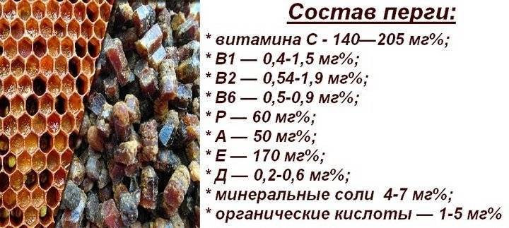 Перга витамины и микроэлементы