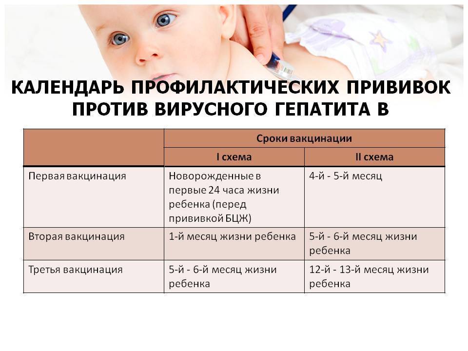 Календарь прививок для детей по возрасту