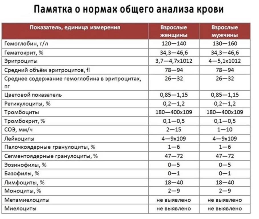 Показатели плазматических клеток в общем анализе крови