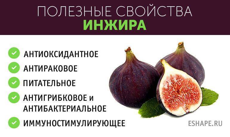 Сухофрукты при грудном вскармливании: польза и вред. можно ли есть курагу, инжир, изюм, чернослив и цукаты
