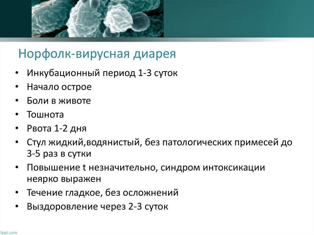 Диета при диарее взрослых | подольская городская детская поликлиника № 3