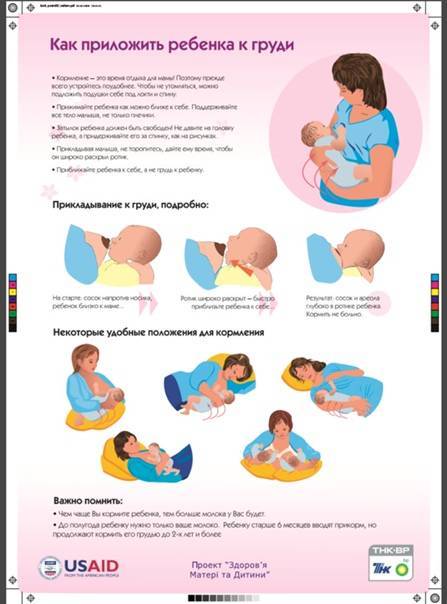 Как правильно прикладывать малыша к груди