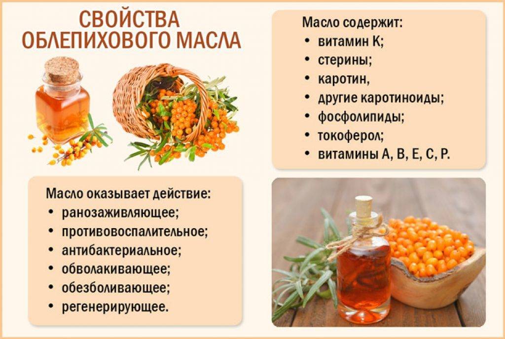 Облепиха – полезные свойства и противопоказания, польза и вред