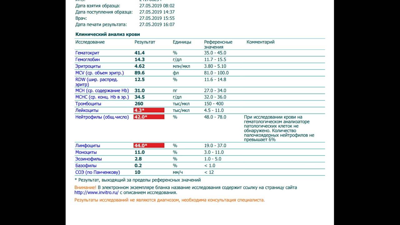 Нейтрофилы в крови: нормы по возрастам (таблица), причины повышения и снижения клеток