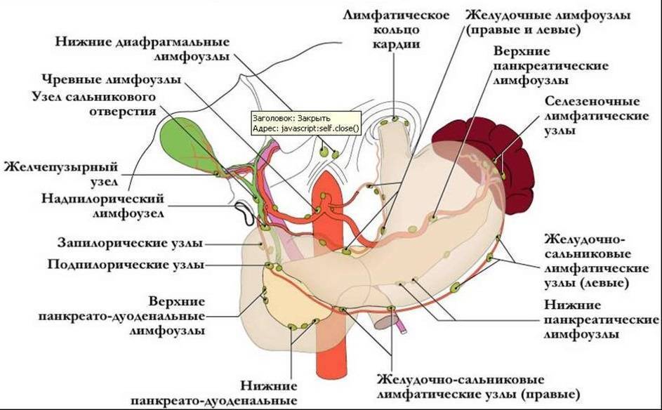 Что такое мезаденит