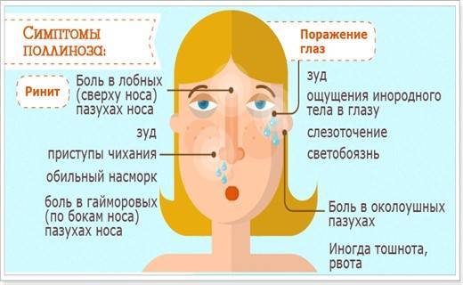 Как предупредить аллергию у детей | университетская клиника