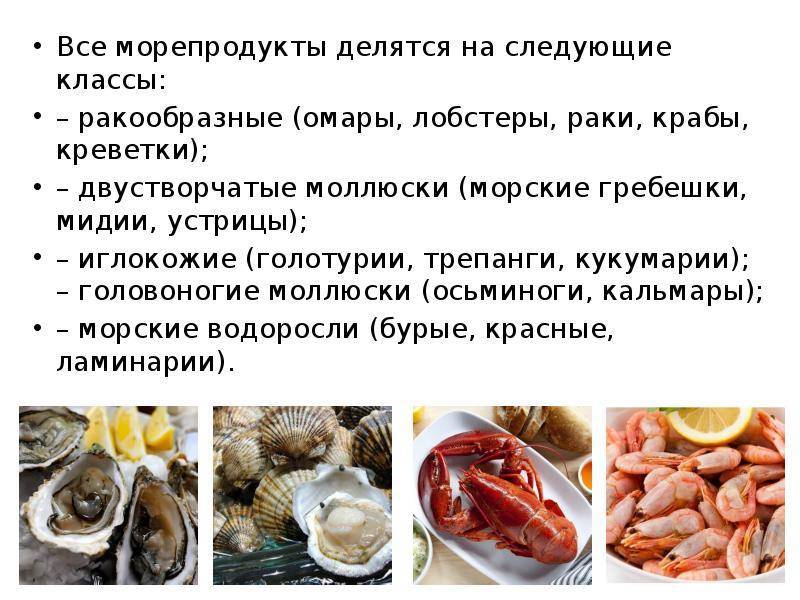 Морепродукты в питании человека сообщение. Нерыбных продуктов моря. Сообщение о морепродуктах. Технология приготовления блюд из морепродуктов. Обработка рыбы и нерыбных продуктов.