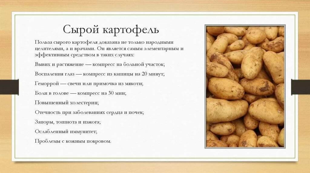 О полезных (и не очень) свойствах картофеля для будущих мам