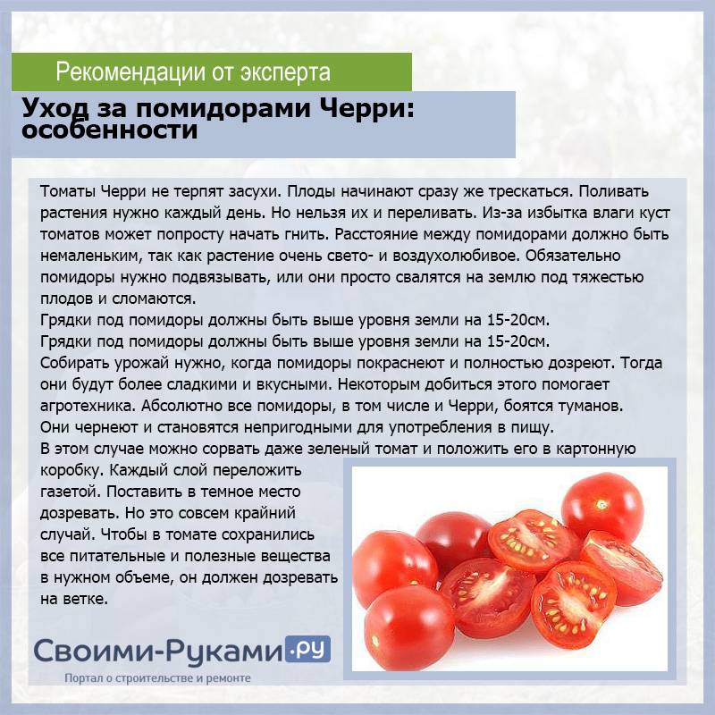 Помидоры детям с какого возраста