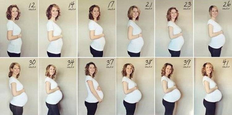 Когда начинает расти живот при беременности: на каком месяце, как увеличивается животик по неделям?