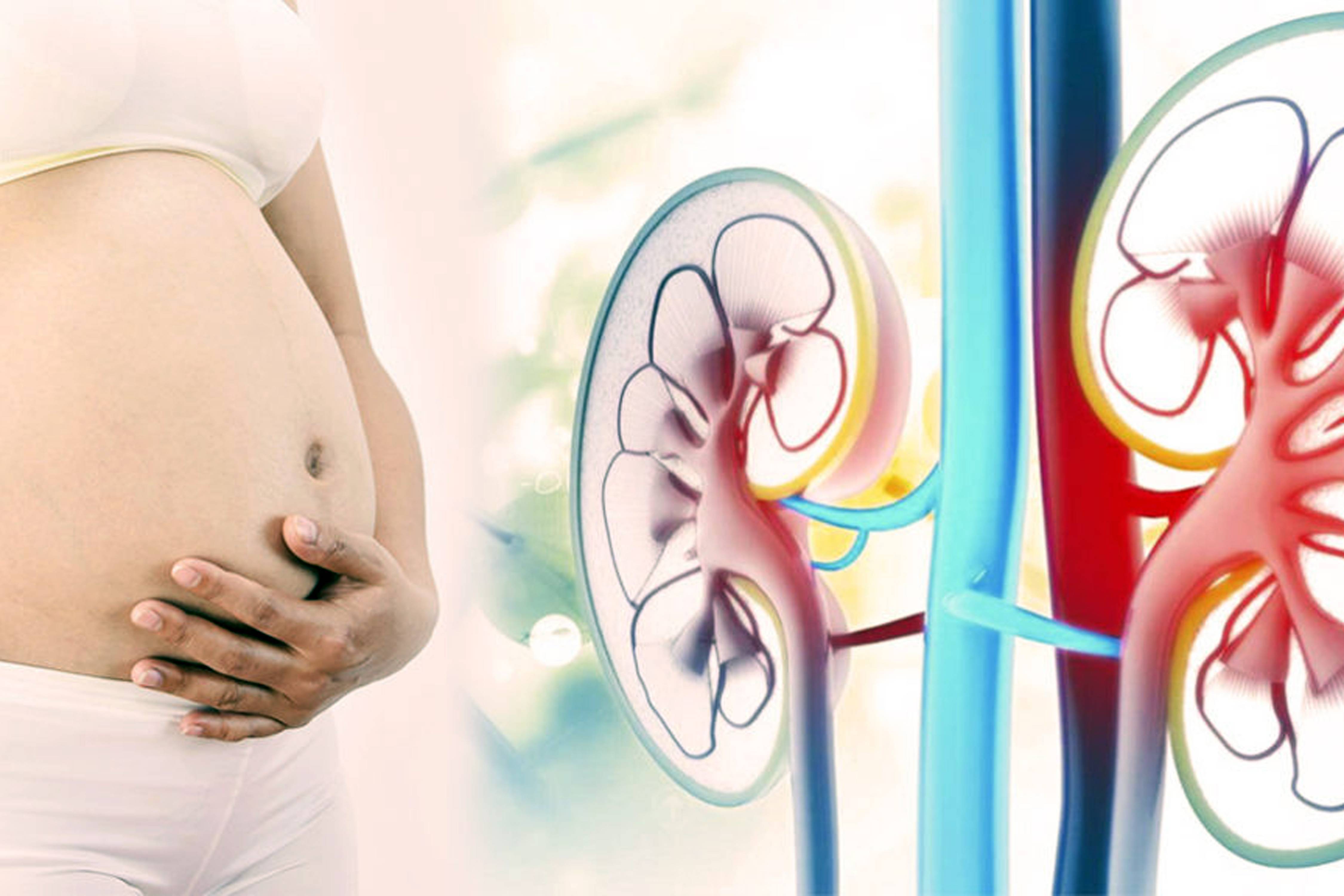Влияние заболеваний на беременность. Заболевания почек и беременность. Гестационный пиелонефрит у беременных. Пиелонефрит и беременность.