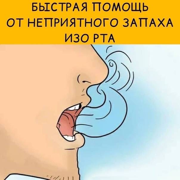 Запах изо рта: причины и профилактика — клиника доктора федорова