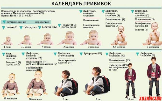 После прививки акдс уплотнение и покраснение: что делать с шишкой на ножке у ребенка? - медицинский советник