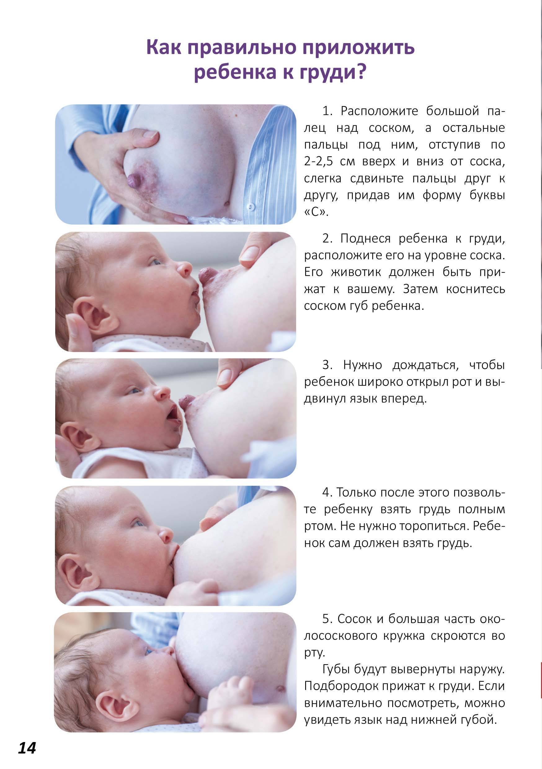 Ребенок не берет грудь - почему это происходит? что делать если малыш отказывается от груди. - автор екатерина данилова - журнал женское мнение