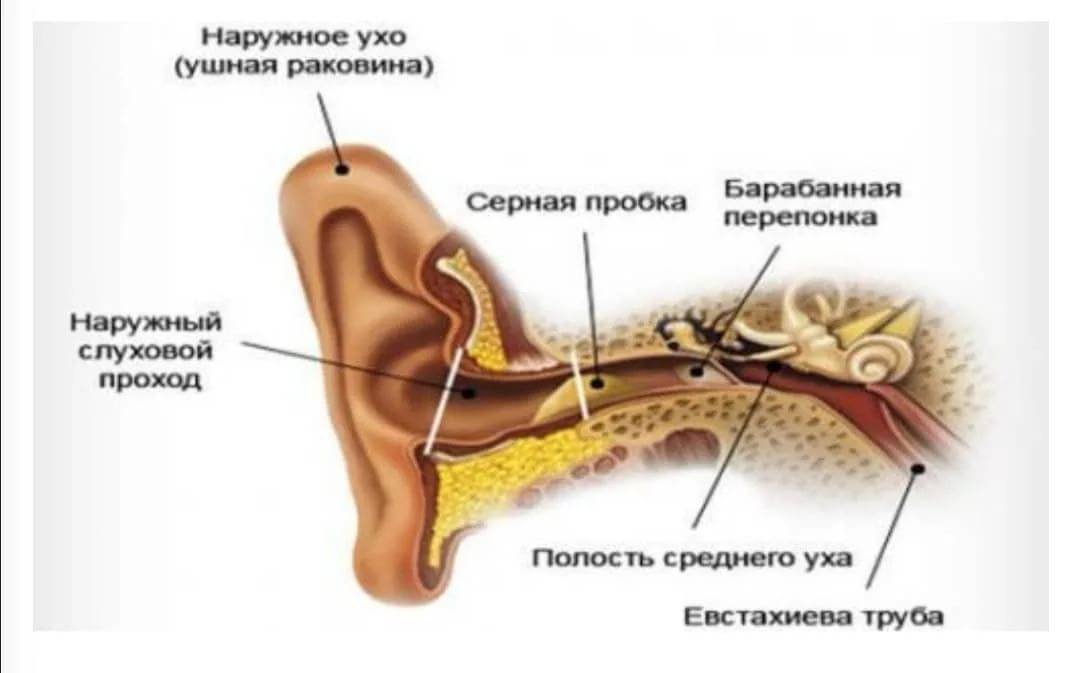 Как убрать пробку из уха в домашних условиях у детей